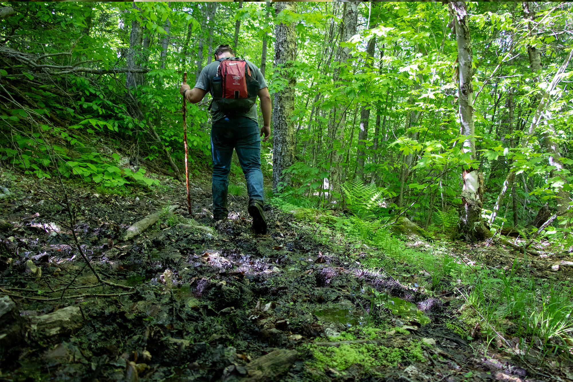 Tips for Hiking During Mud Season in the Adirondacks